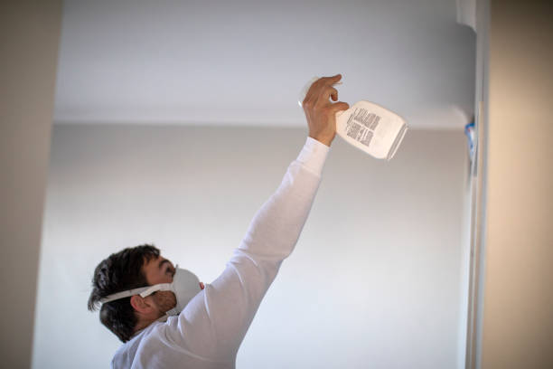 Best Post-Remediation Services in Akwesasne, NY
